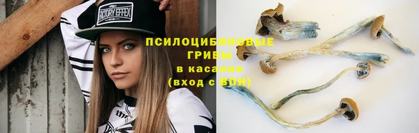 a pvp Новодвинск