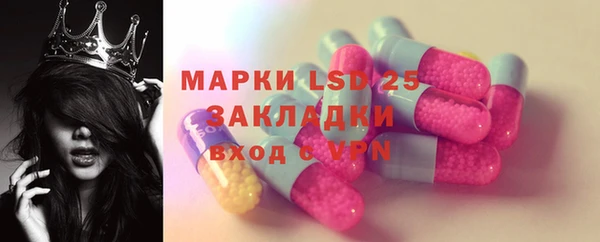 прущие грибы Армянск