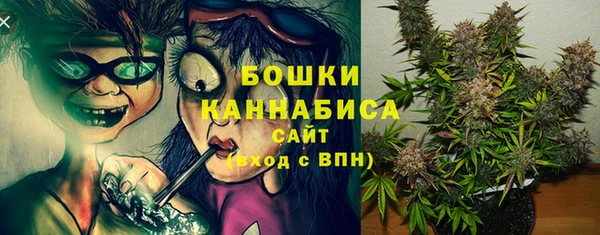дурь Арсеньев