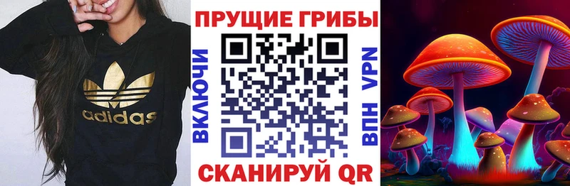 Псилоцибиновые грибы мицелий  Спасск 